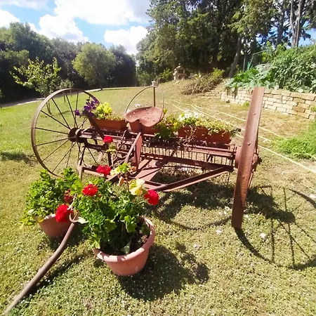 L'alba Farm stay