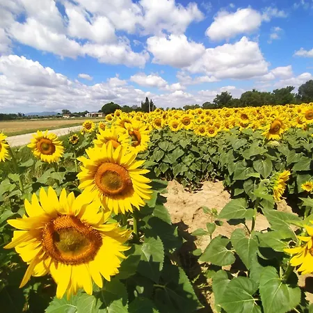 L'alba Farm stay *